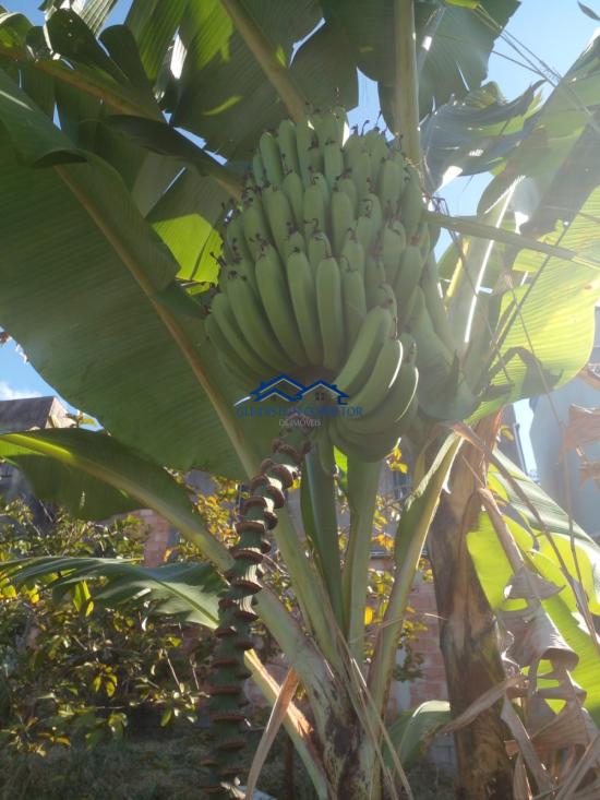 lote-venda-duque-de-caxias-betim-1039238