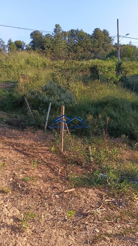 lote-venda-estrela-do-sul-mateus-leme-1103787
