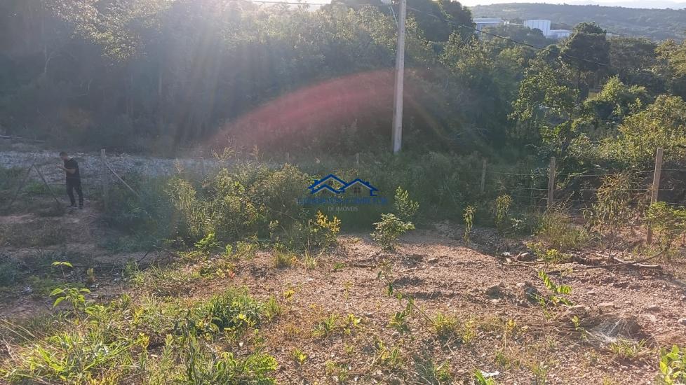 lote-venda-estrela-do-sul-mateus-leme-1103790