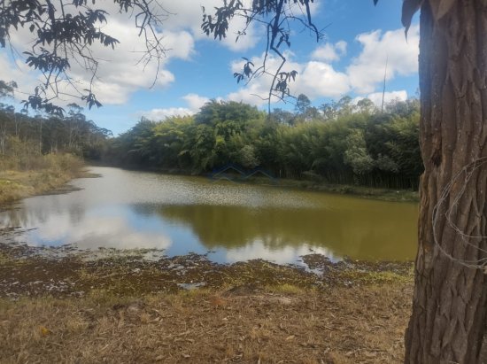 lote-venda-azurita-mateus-leme-mg-582667