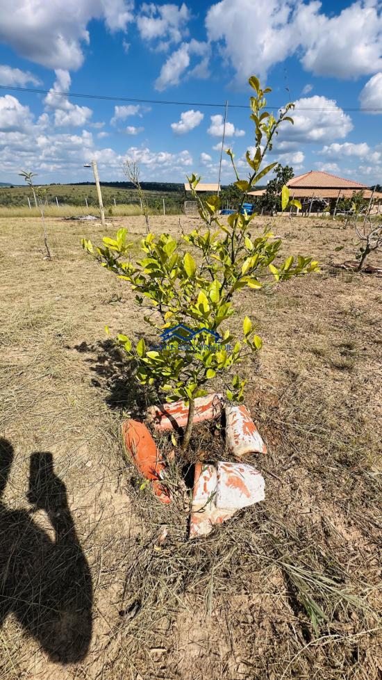 chacara-venda-curvelo-mg-1100249