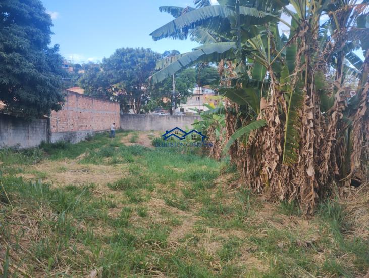 terreno-venda-jardim-alterosas-betim-1078884