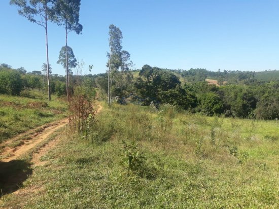 fazenda-venda-itapecirica-mg-528737